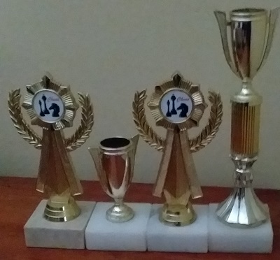 Chess Trophies Pictures